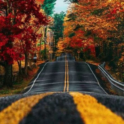 爱游戏全站手机app下载