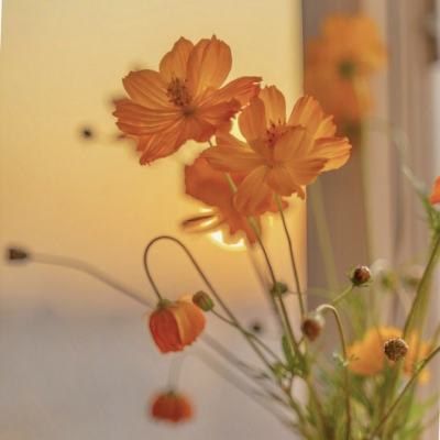 江南足球app下载