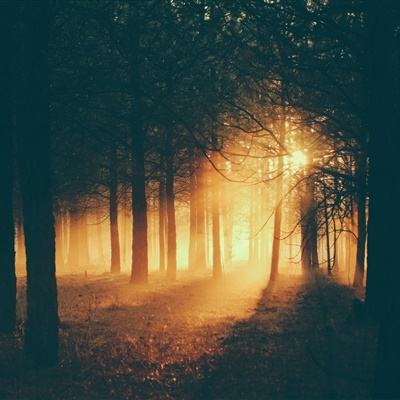 火狐电竞app下载截图