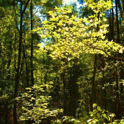 亚新综合平台·官方网站
